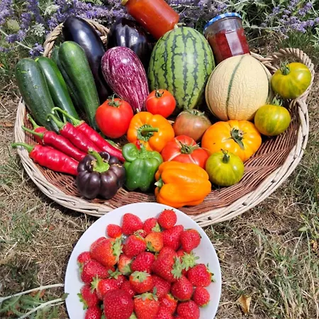 Le Relais Du Mardelon 度假居 Messeme